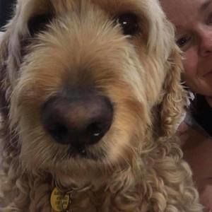 Meet your Posher, Lynn